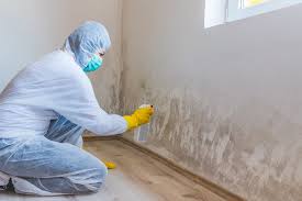 Best Forensic Mold Investigation  in Park City, MT